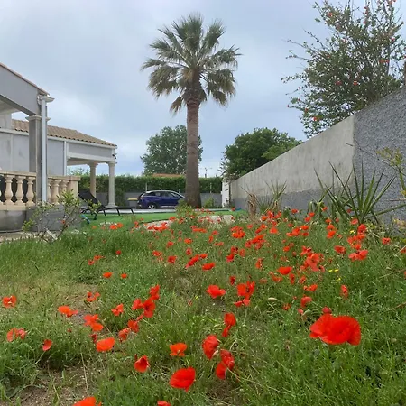 ヴィラ Grande Piscine Cap Agde *